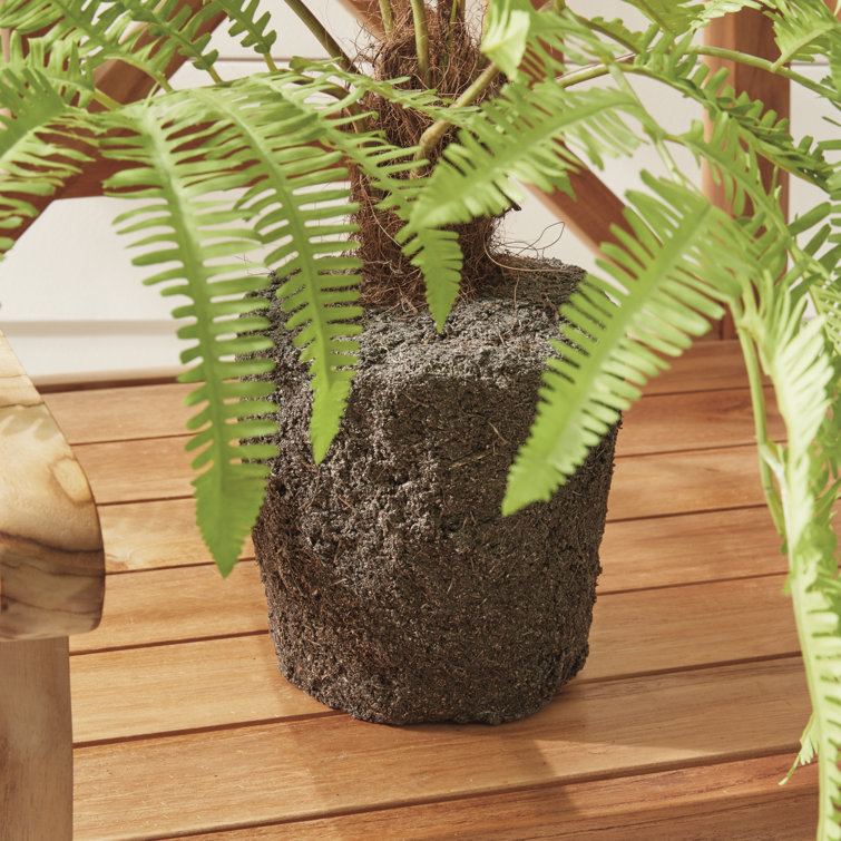 29.5" Tall Green Silk and Plastic Potted Fern