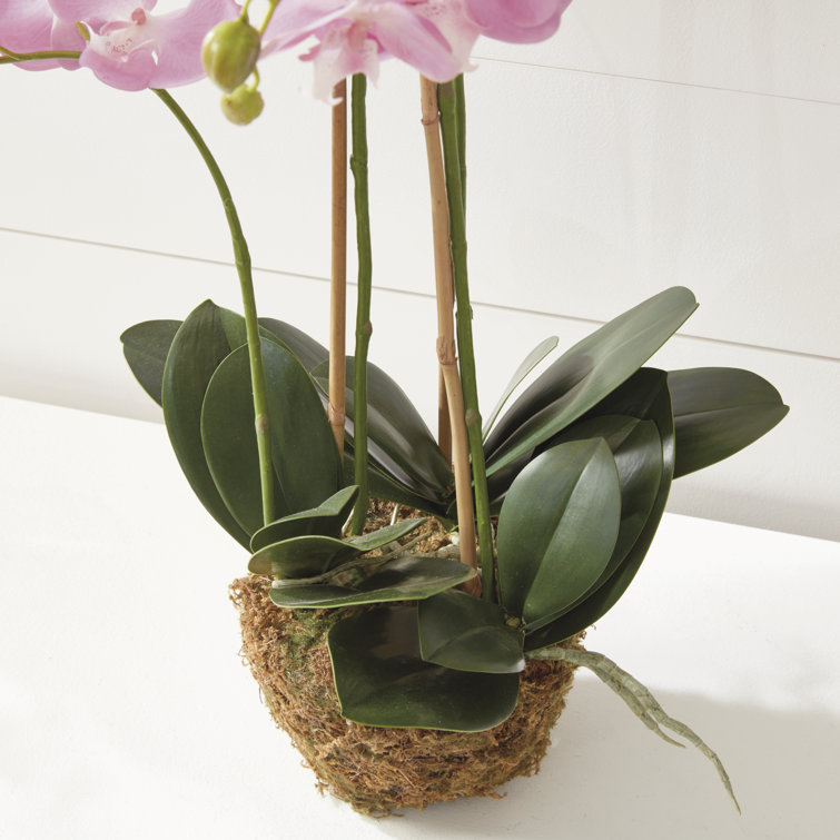 Pink Silk Orchid Arrangement with Lights in Plastic Pot