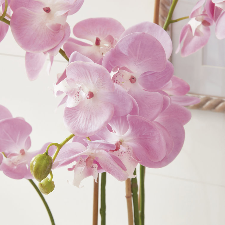 Pink Silk Orchid Arrangement with Lights in Plastic Pot