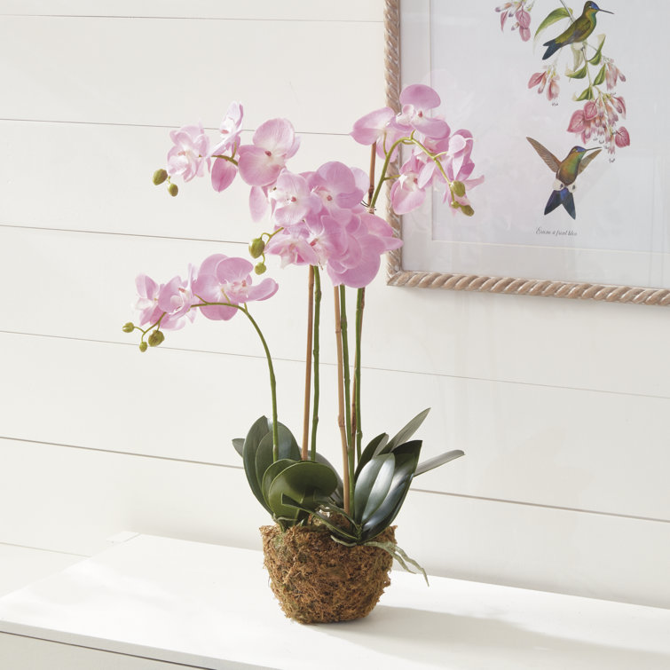 Pink Silk Orchid Arrangement with Lights in Plastic Pot