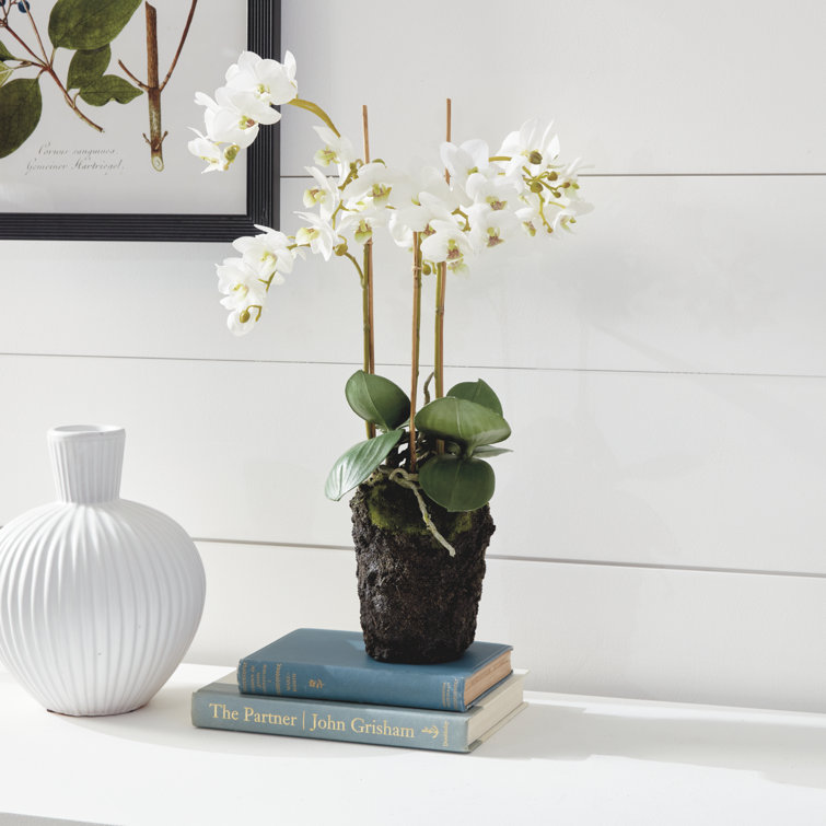 Realistic White and Purple Phalaenopsis Orchid Drop-in 20-Inch