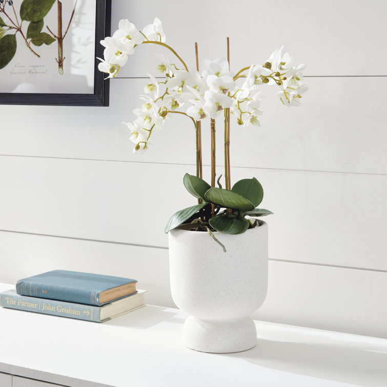 Realistic White and Purple Phalaenopsis Orchid Drop-in 20-Inch