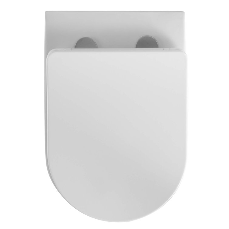 Surge Wall Mounted Elongated White Ceramic Toilet