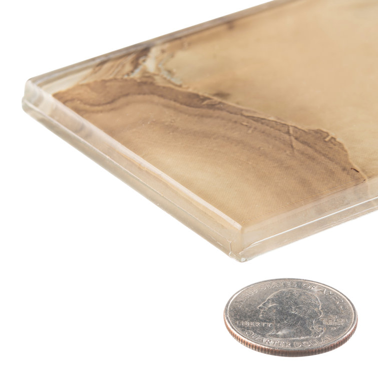 Myst 3" x 12" Polished Beige Glass Subway Tile