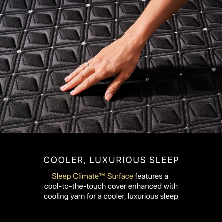 Twin XL Black Hybrid Innerspring Mattress with Boxspring