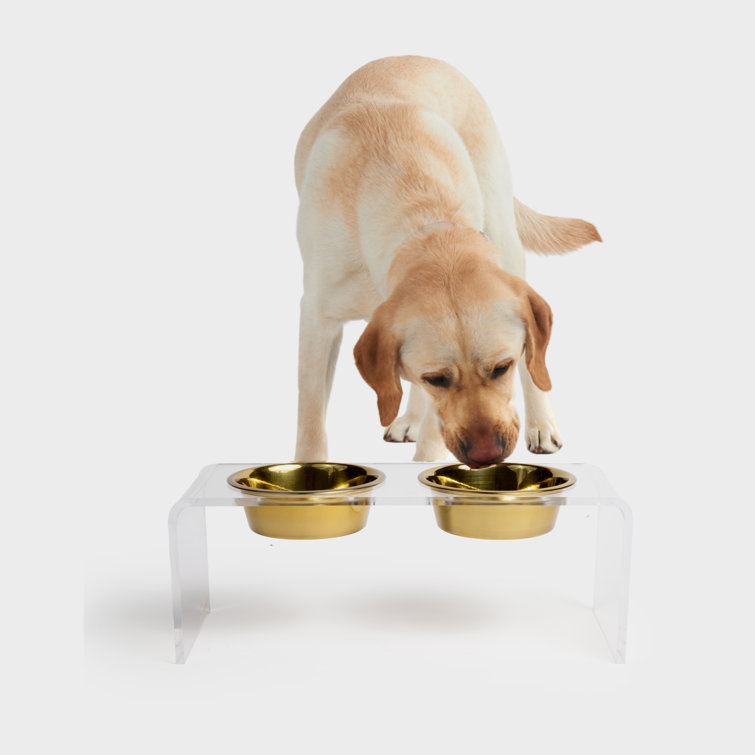 Small Clear Acrylic Double Pet Feeder with Gold Bowls