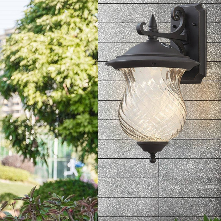 Oil-Rubbed Black LED Outdoor Wall Light with Clear Glass