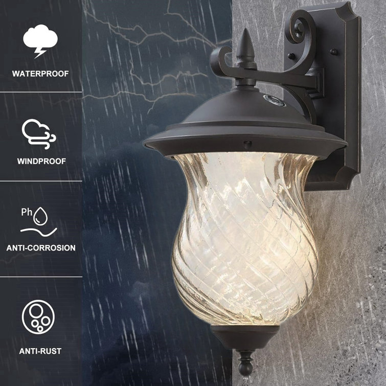 Oil-Rubbed Black LED Outdoor Wall Light with Clear Glass