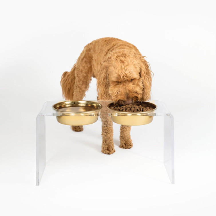 Tall Clear Acrylic Elevated Pet Feeder with Stainless Steel Bowls
