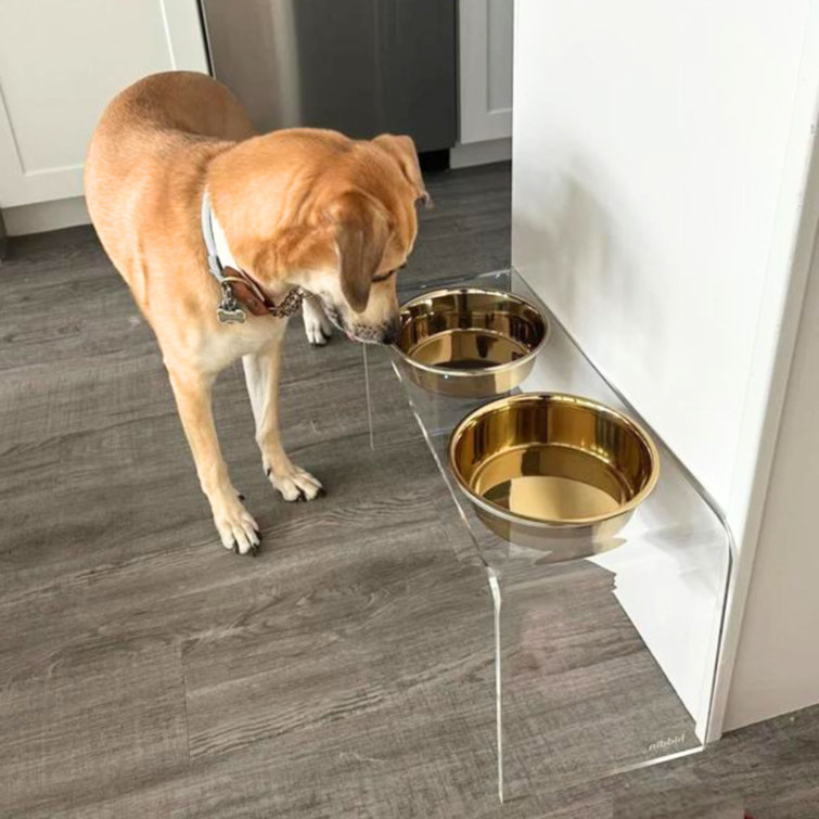 Tall Clear Acrylic Elevated Pet Feeder with Stainless Steel Bowls