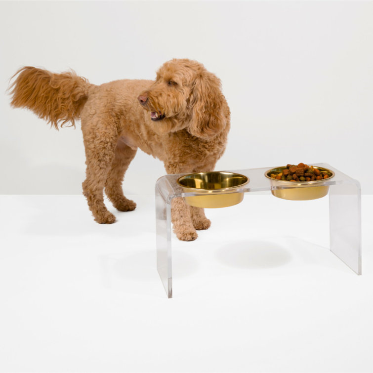 Tall Clear Acrylic Elevated Pet Feeder with Stainless Steel Bowls
