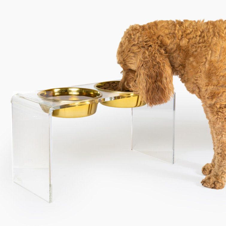 Tall Clear Acrylic Elevated Pet Feeder with Stainless Steel Bowls