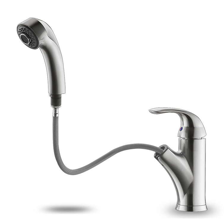 Brushed Nickel Single Handle Kitchen Faucet with Pull-Out Spray