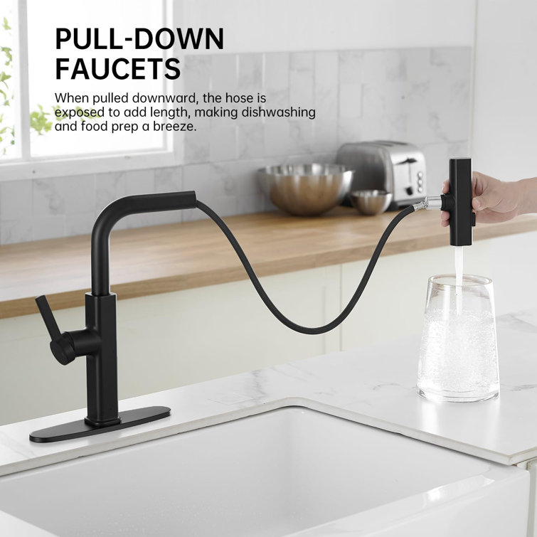 Matte Black Stainless Steel Kitchen Faucet with Pull-Down Spray