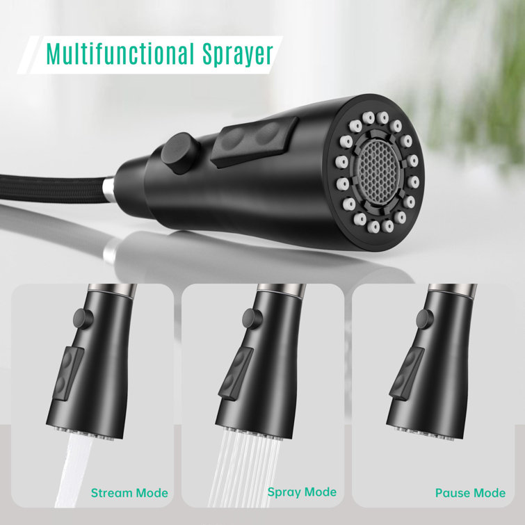 Black Nickel Stainless Steel Pull-Out Kitchen Faucet with Spray
