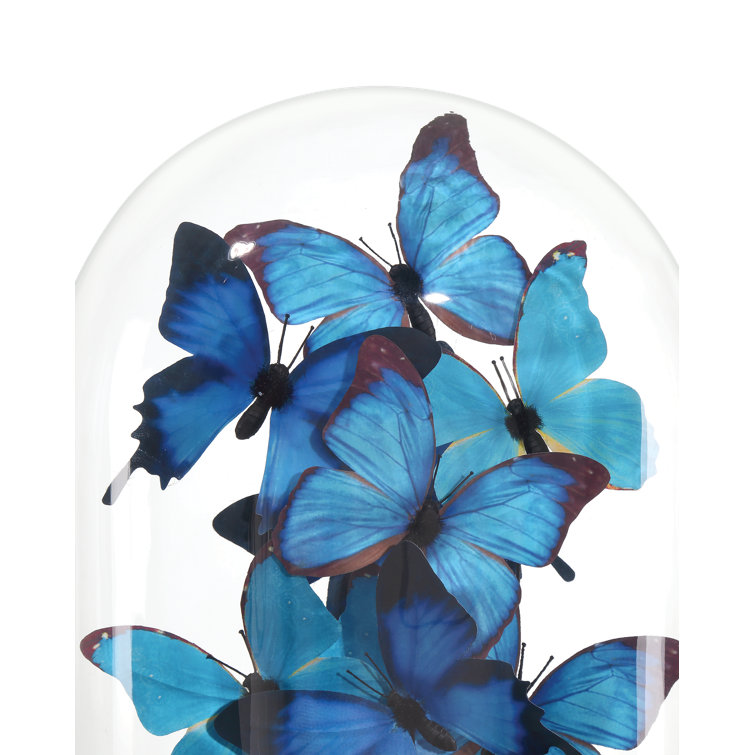 Blue and Black Butterfly Sculpture with Clear Glass Dome on Wood Base