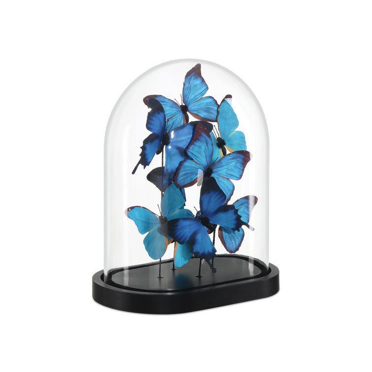 Blue and Black Butterfly Sculpture with Clear Glass Dome on Wood Base