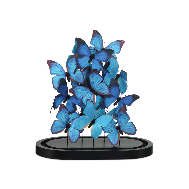 Blue and Black Butterfly Sculpture with Clear Glass Dome on Wood Base