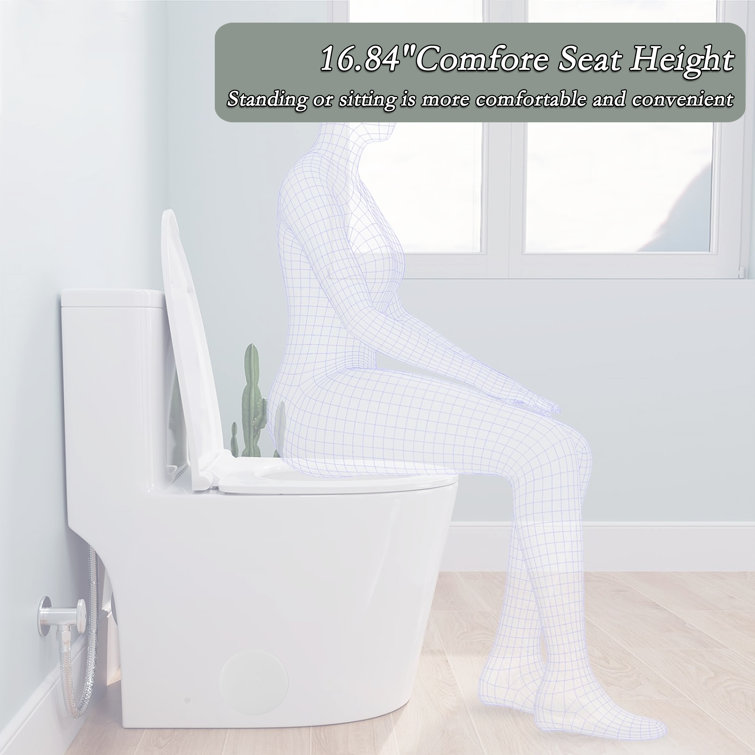 White Ceramic Dual-Flush Elongated One-Piece Toilet