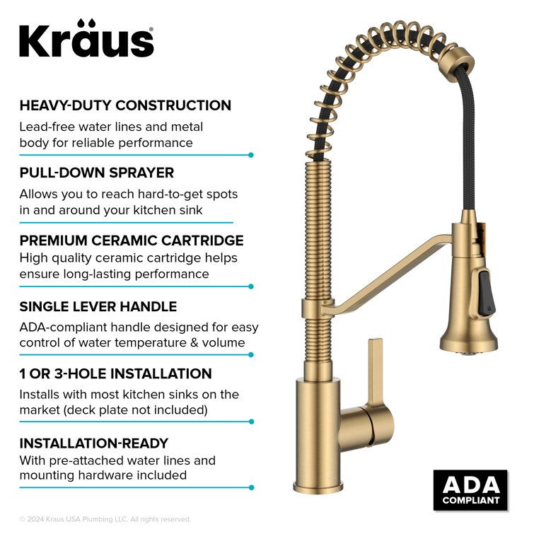 Britt Brushed Brass Pull-down Kitchen Faucet with Spray