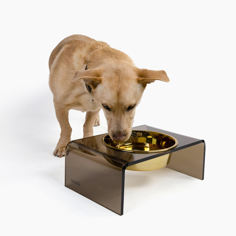 Bronze Acrylic Single Pet Feeder with Gold Bowl