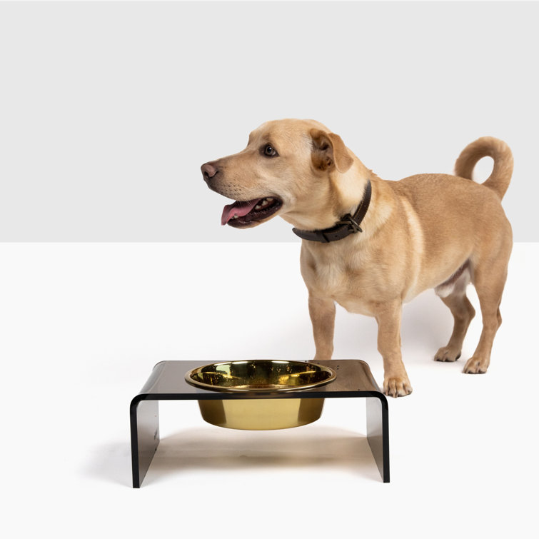 Bronze Acrylic Single Pet Feeder with Gold Bowl