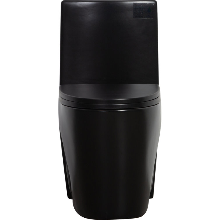 Matte Black High Efficiency Dual Flush One-Piece Elongated Toilet