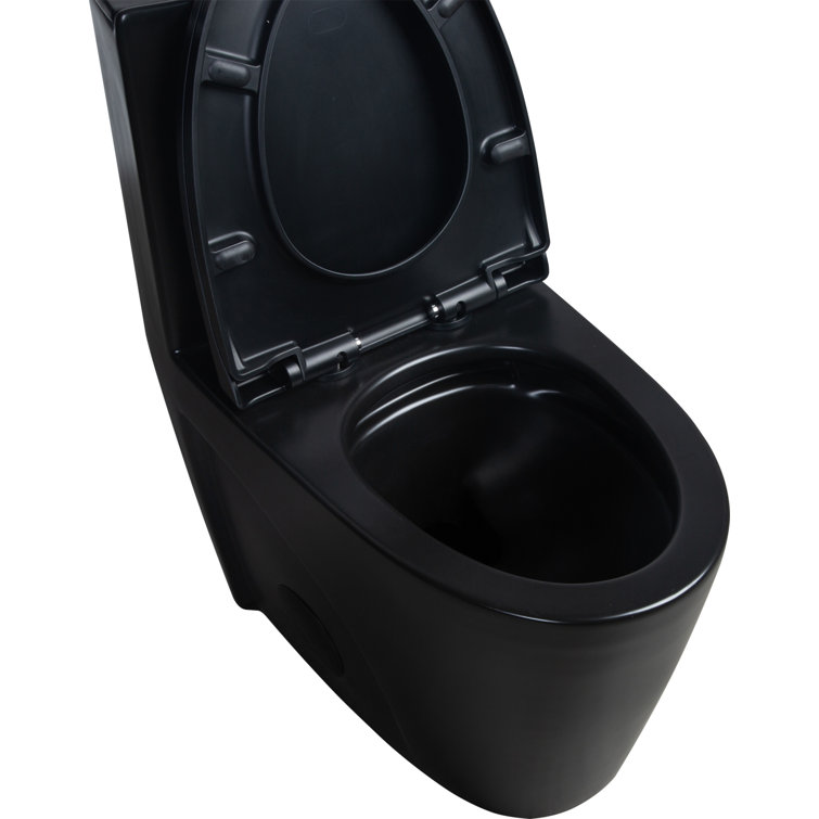 Matte Black High Efficiency Dual Flush One-Piece Elongated Toilet