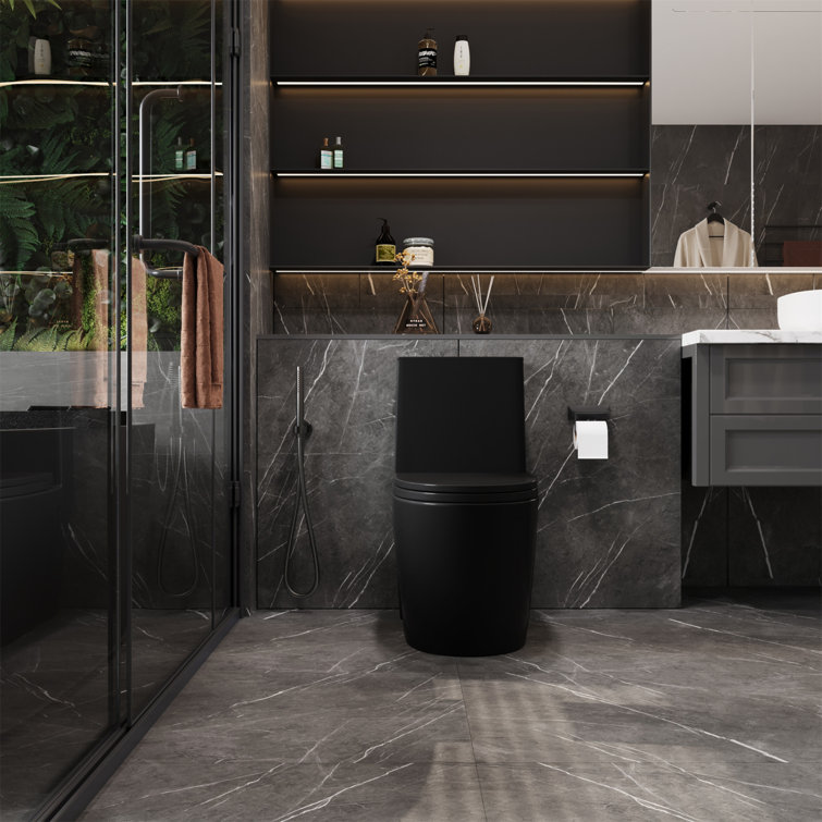 Matte Black High Efficiency Dual Flush One-Piece Elongated Toilet