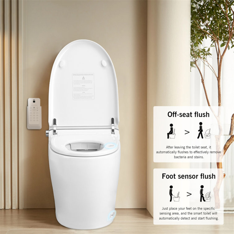 White Ceramic Smart Toilet Bidet Combo with Heated Seat and Remote Control