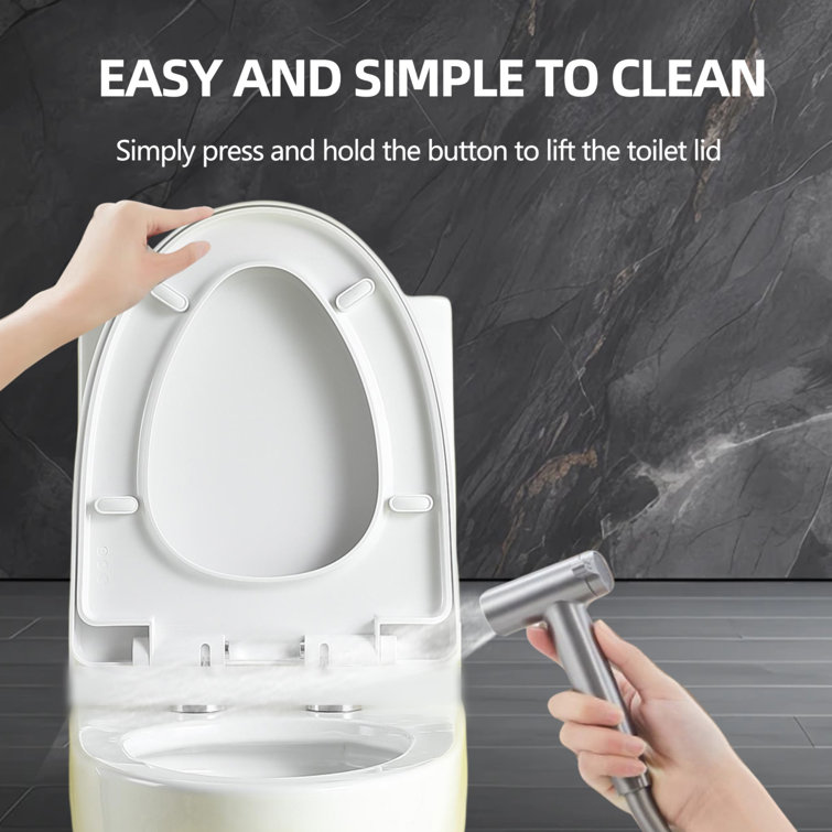 Glossy White Ceramic Dual Flush One-Piece Elongated Toilet
