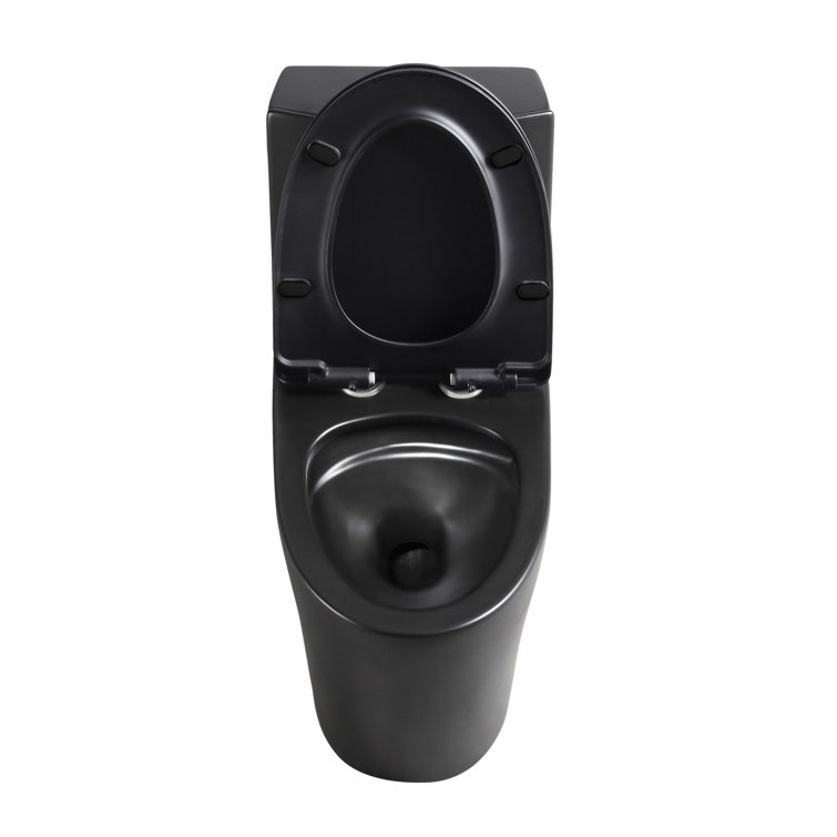 Matte Black High Efficiency Dual Flush One-Piece Elongated Toilet