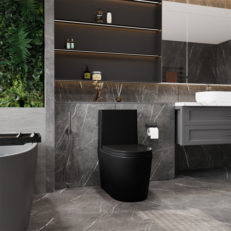 Matte Black High Efficiency Dual Flush One-Piece Elongated Toilet