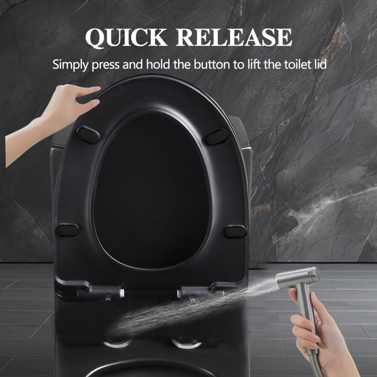 Matte Black High Efficiency Dual Flush One-Piece Elongated Toilet