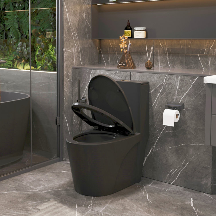 Matte Black High Efficiency Dual Flush One-Piece Elongated Toilet