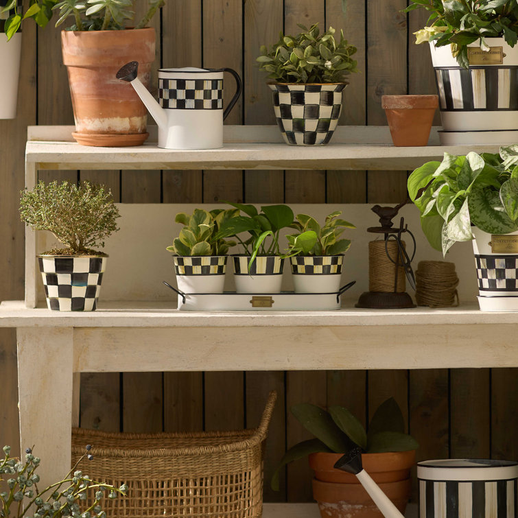 Spectator Black and White Galvanized Herb Pots with Tray, Set of 3
