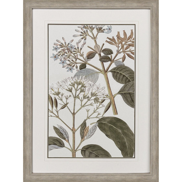 Distressed Silver Botanical Canvas Art with Moss Matting