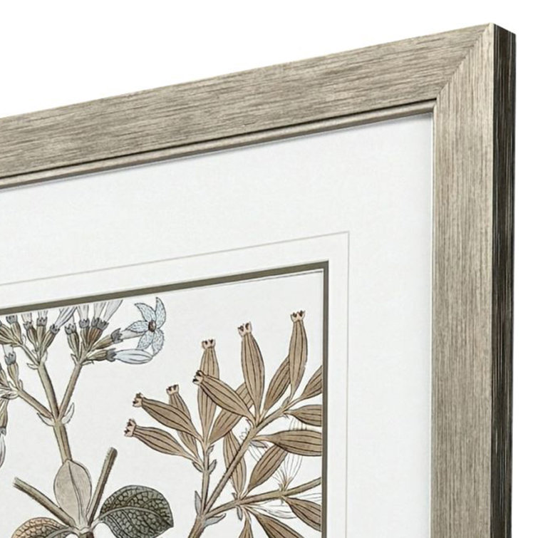 Distressed Silver Botanical Canvas Art with Moss Matting