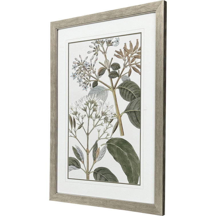 Distressed Silver Botanical Canvas Art with Moss Matting