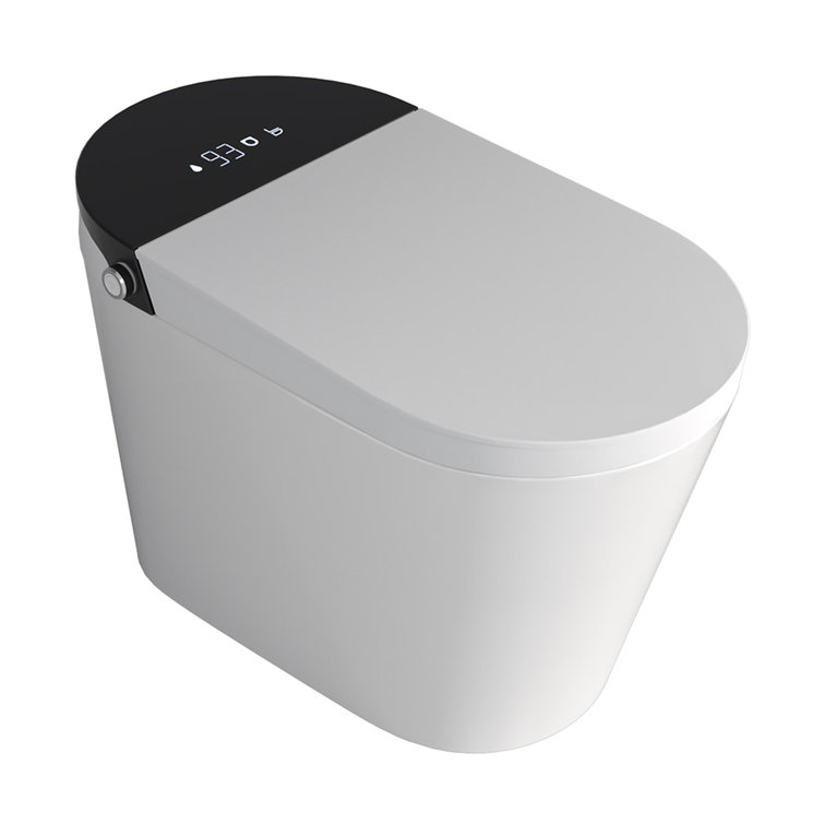 White Elongated Electric Smart Bidet Toilet with Heated Seat and LED Display