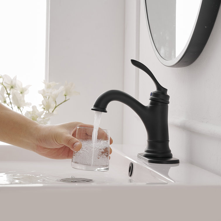 Matte Black Stainless Steel Single-Handle Bathroom Faucet with Drain Assembly