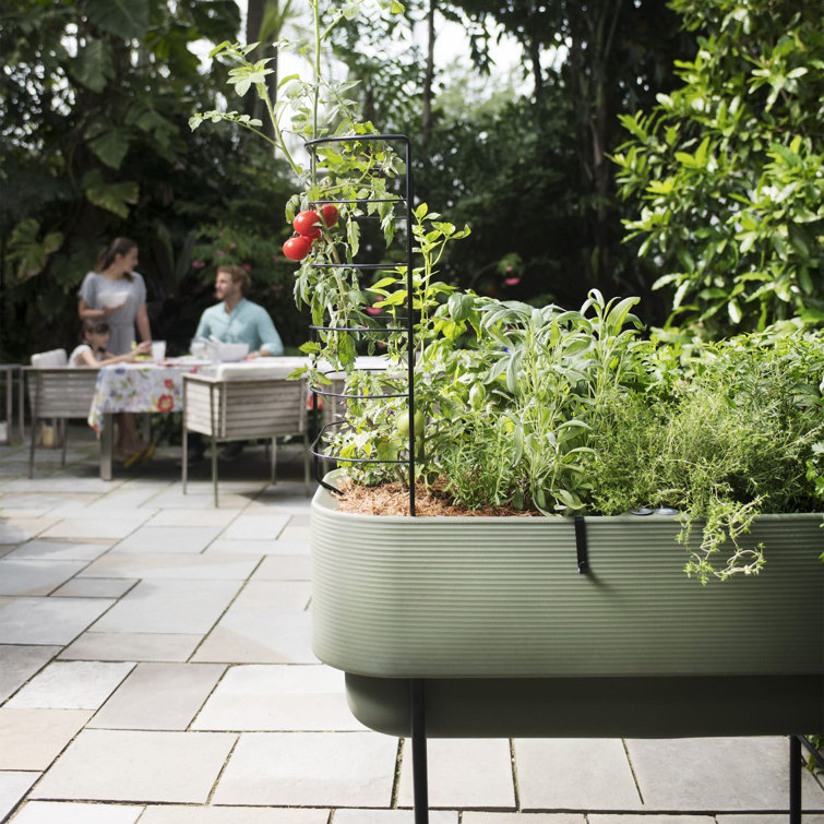 Olive Green High-Density Polyethylene Self-Watering Elevated Planter