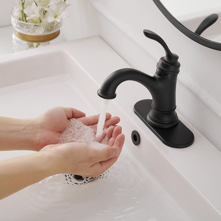 Matte Black Stainless Steel Single-Handle Bathroom Faucet with Drain Assembly