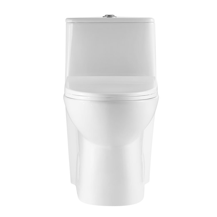 Glossy White Ceramic Elongated One-Piece Dual Flush Toilet