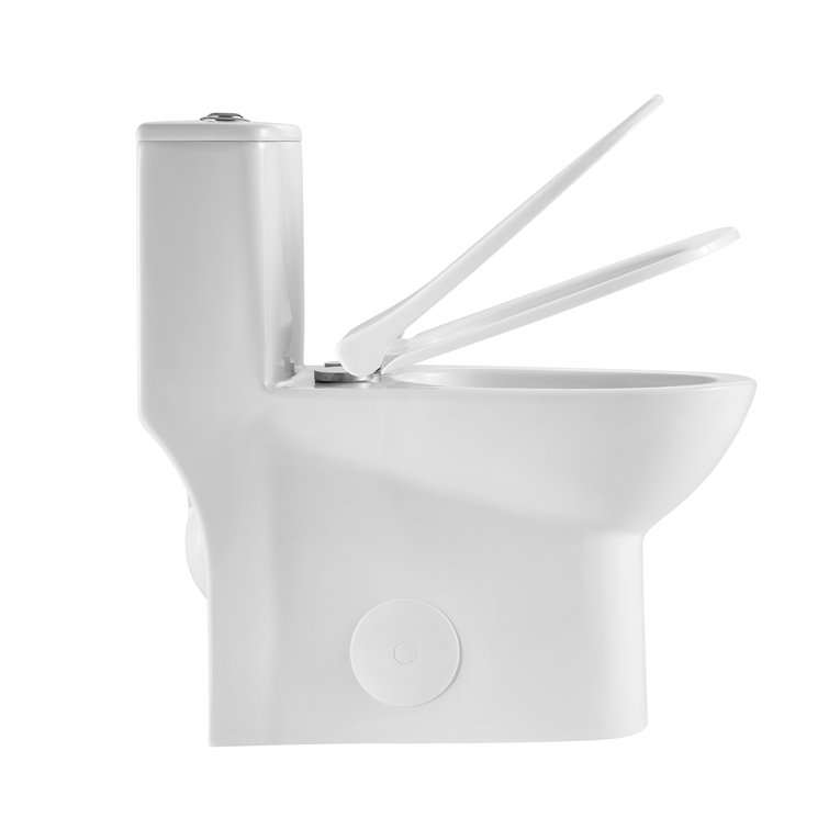 Glossy White Ceramic Elongated One-Piece Dual Flush Toilet