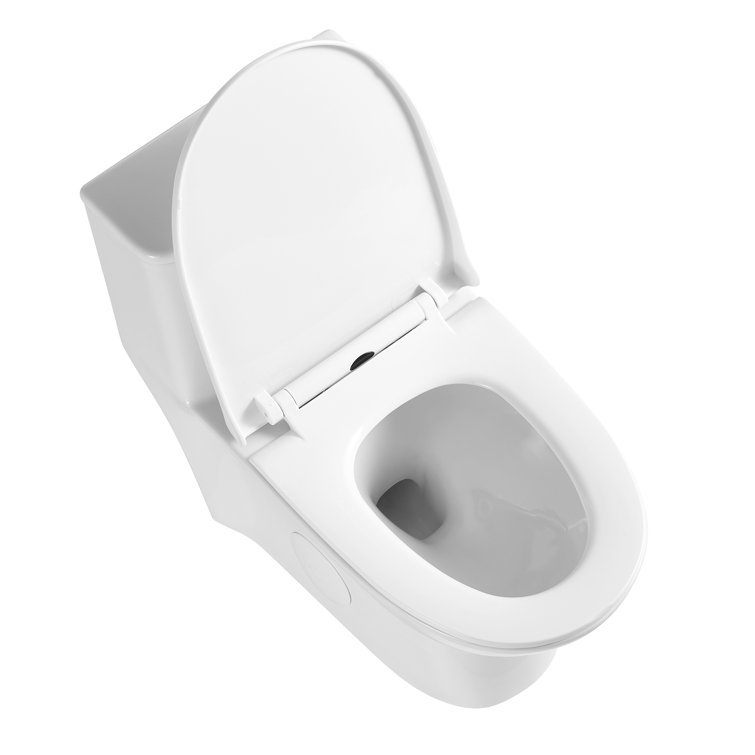Glossy White Ceramic Elongated One-Piece Dual Flush Toilet