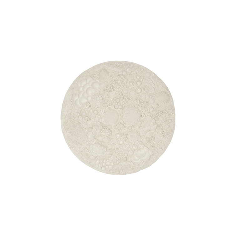 Off-White Coral Reef Textured Wall Art Decor