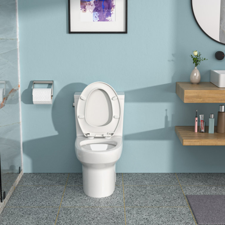 Glossy White Ceramic Elongated One-Piece Toilet with Soft-Close Seat