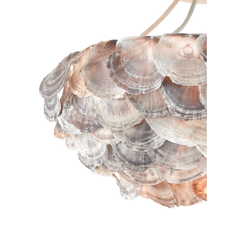 Smokewood and Natural Shell 6-Light Chandelier