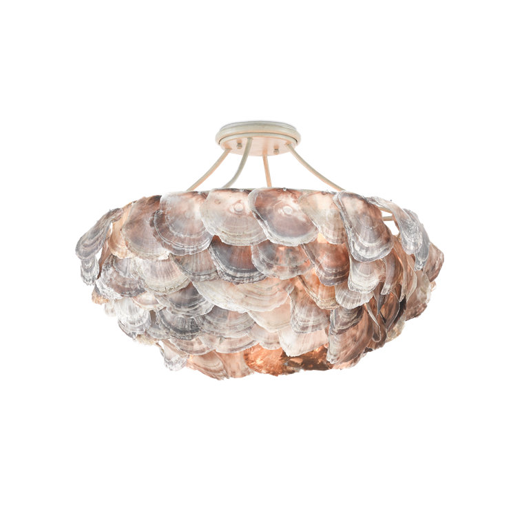 Smokewood and Natural Shell 6-Light Chandelier